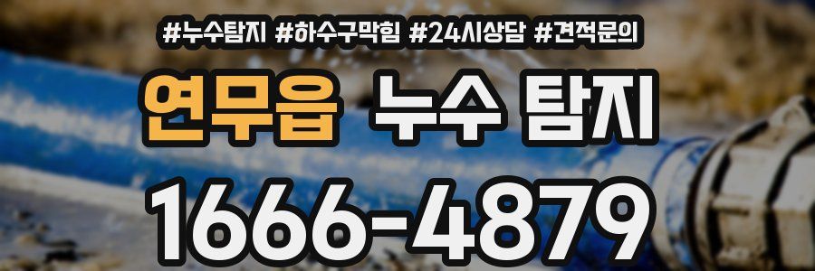 연무읍 누수 탐지