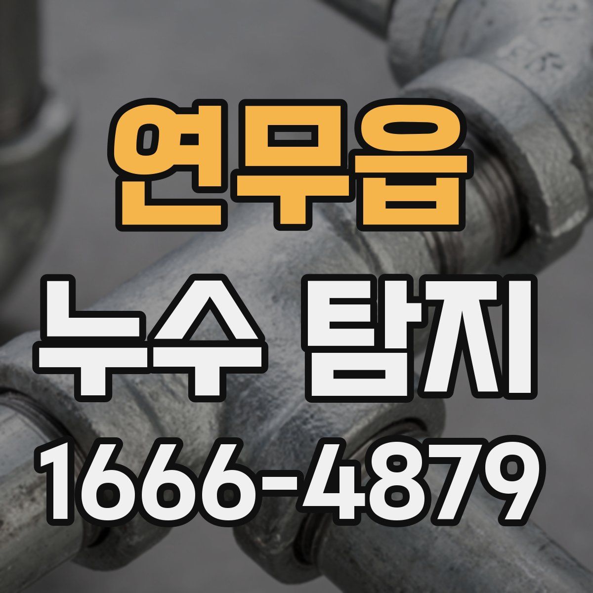 연무읍 누수 탐지