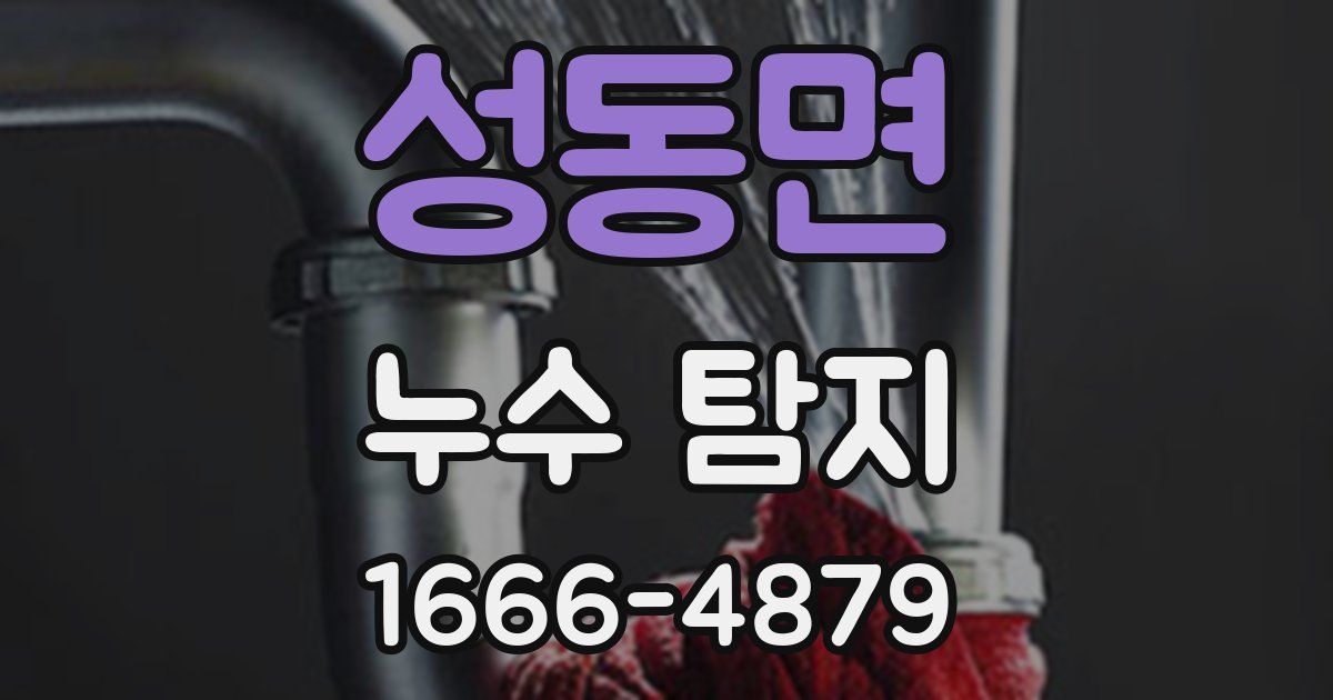 성동면 누수 탐지