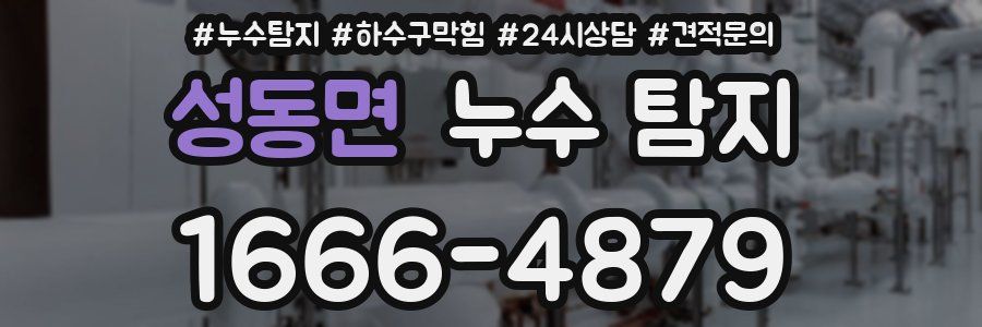 성동면 누수 탐지