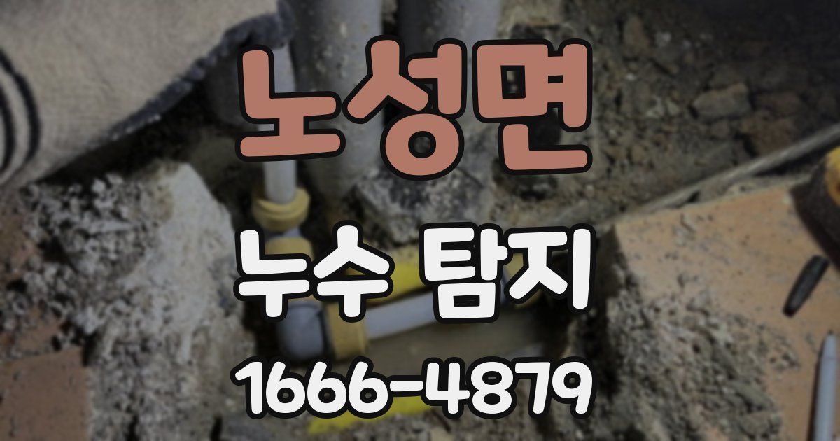 노성면 누수 탐지