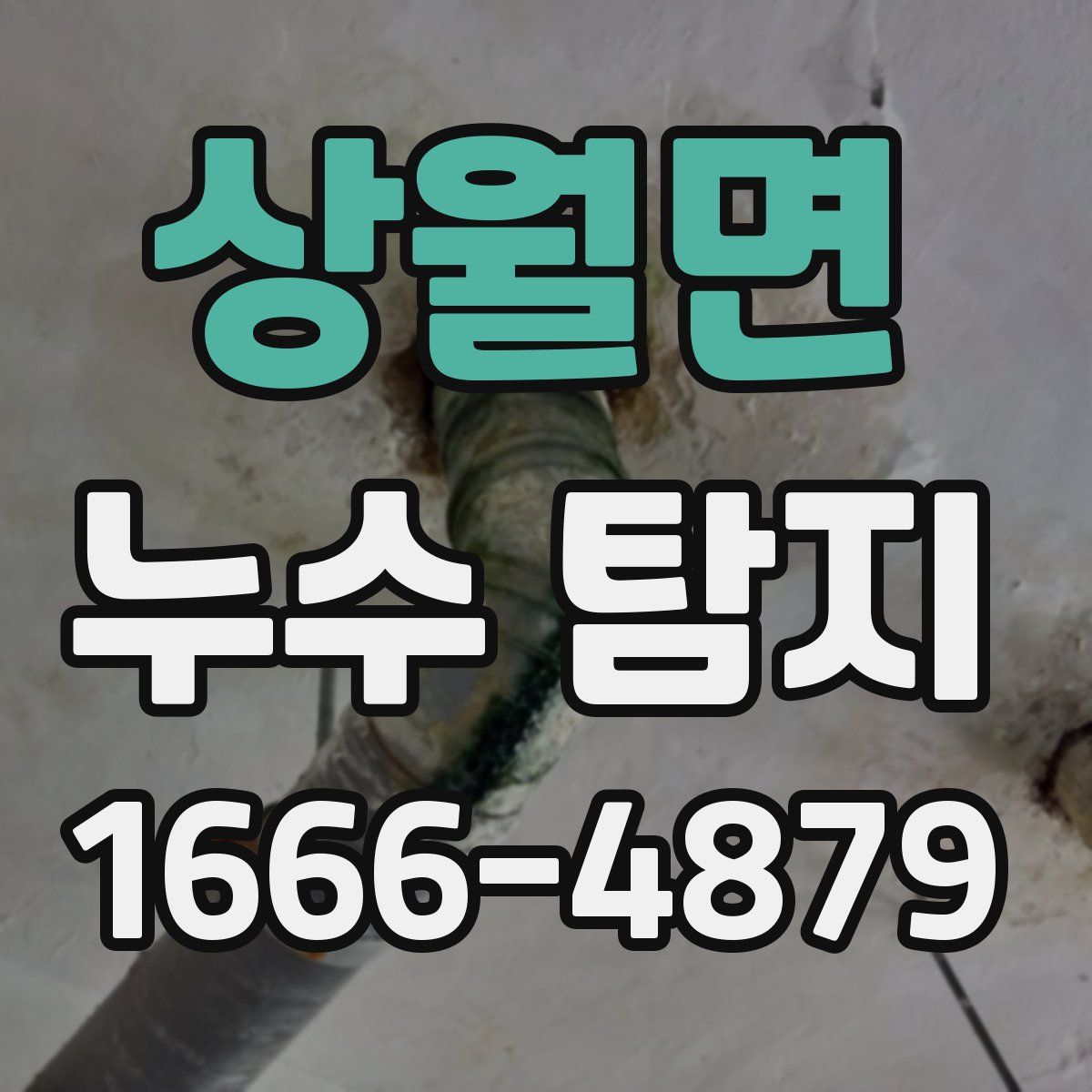 상월면 누수 탐지