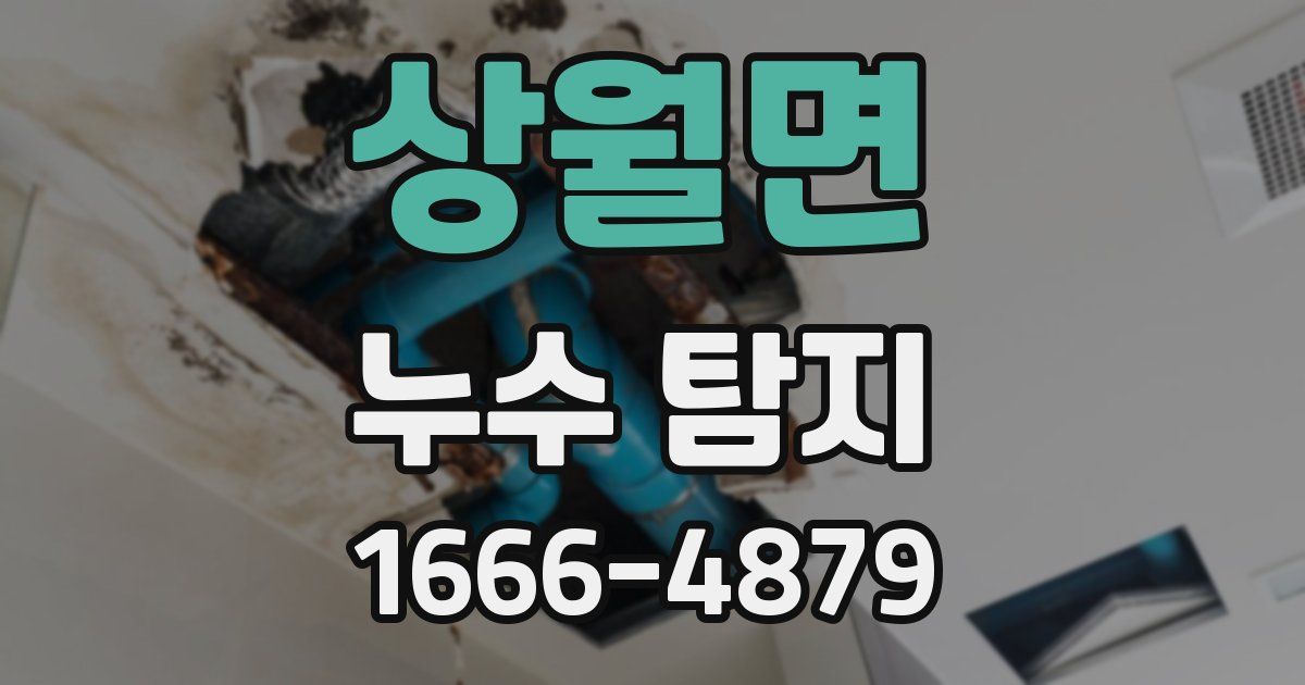 상월면 누수 탐지