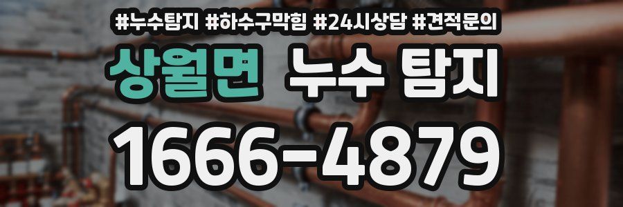 상월면 누수 탐지
