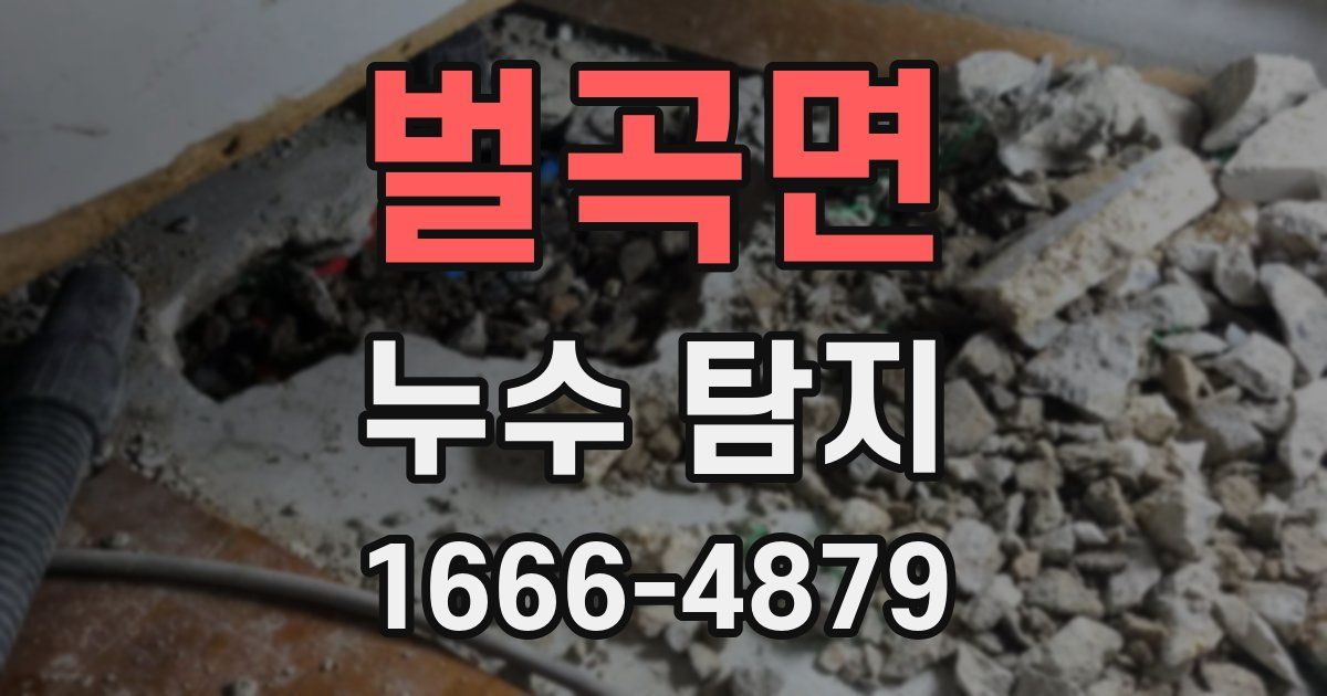 벌곡면 누수 탐지