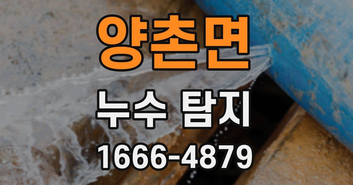 양촌면 누수 탐지
