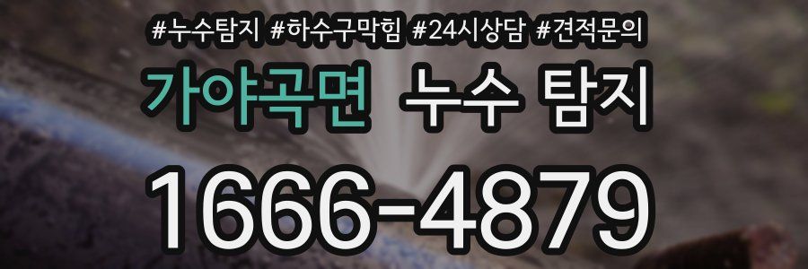 가야곡면 누수 탐지