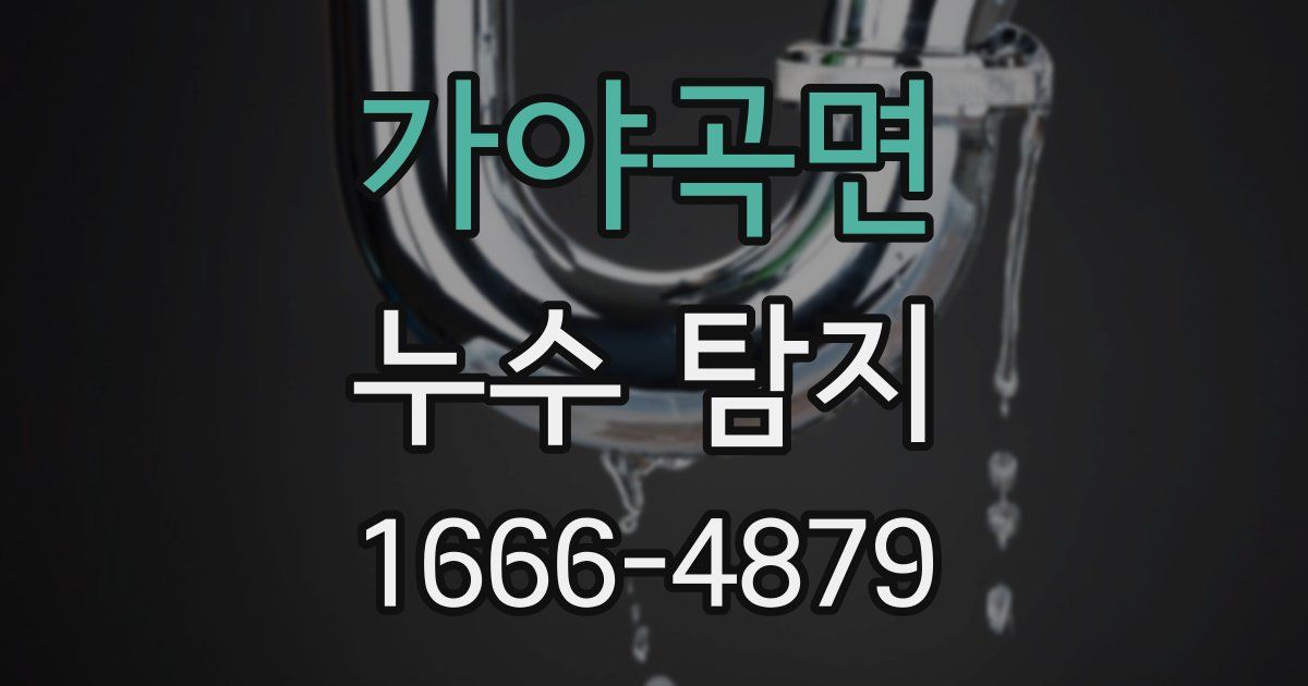 가야곡면 누수 탐지