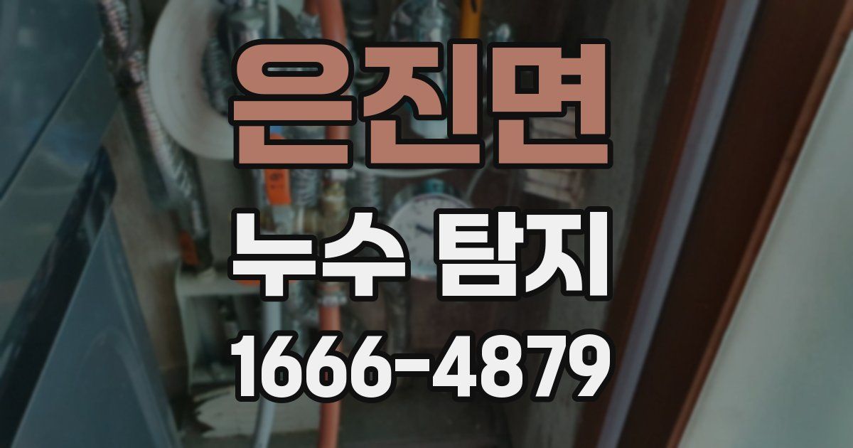 은진면 누수 탐지