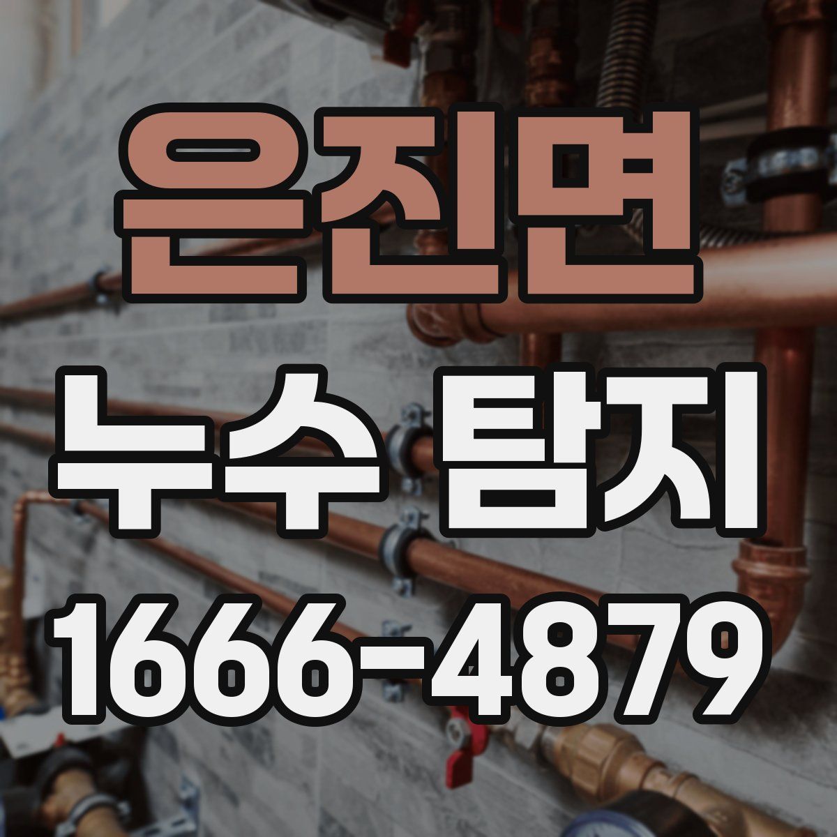 은진면 누수 탐지