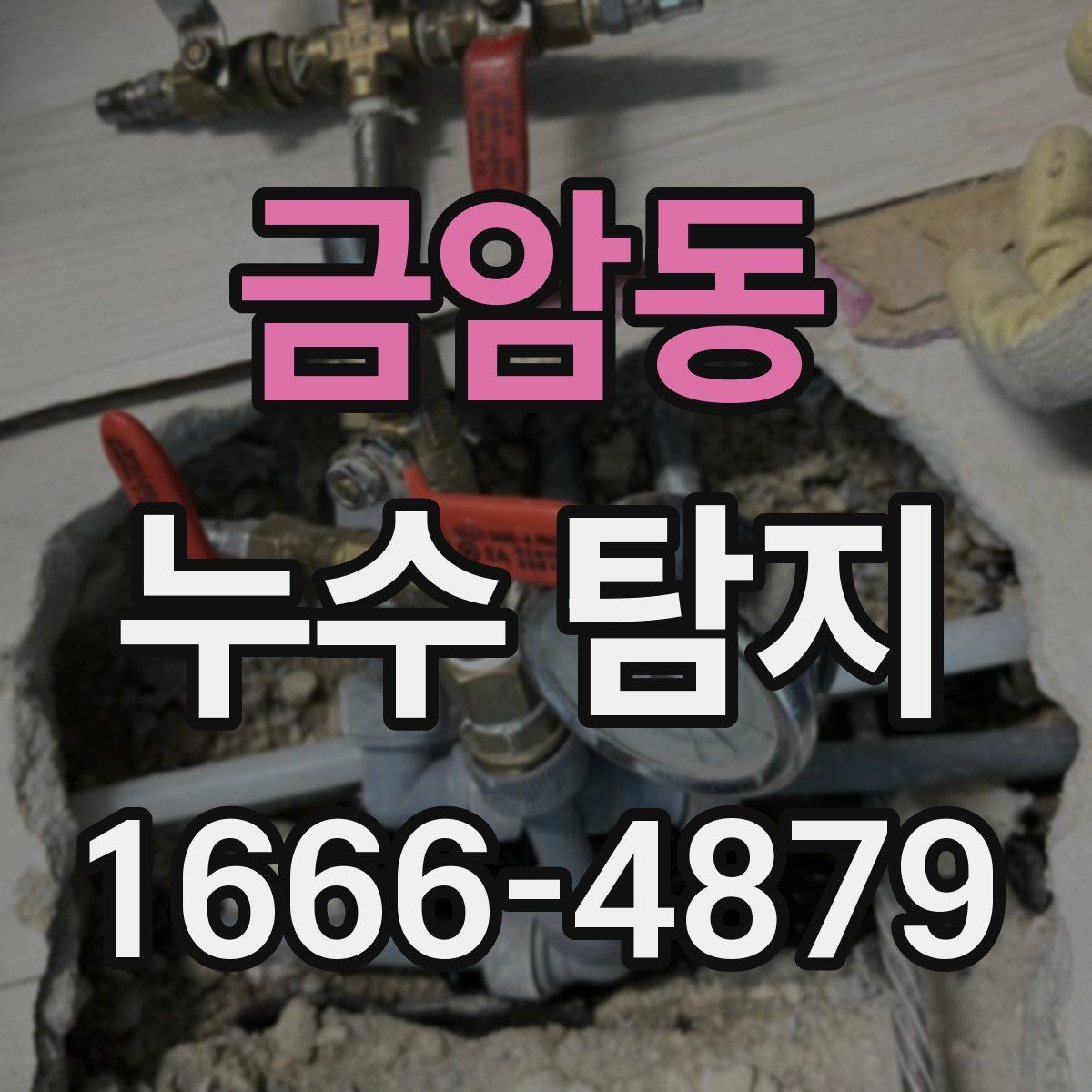 금암동 누수 탐지