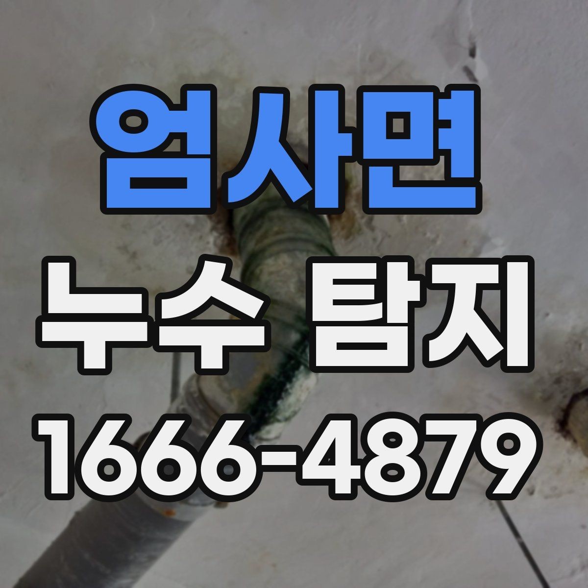 엄사면 누수 탐지 후 보험 처리 가능 여부 확인