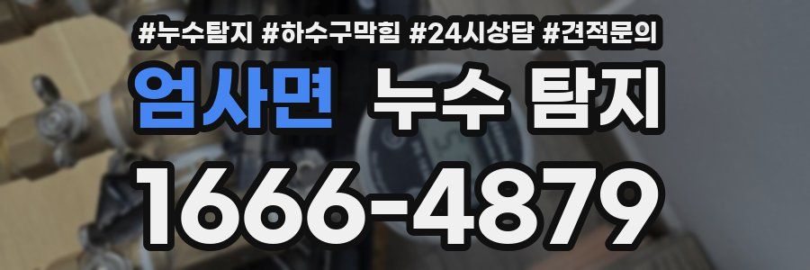 엄사면 누수 탐지