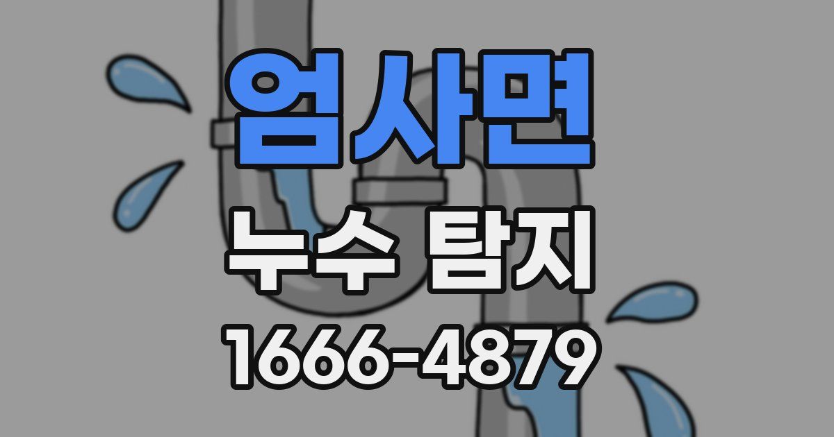 엄사면 누수 탐지
