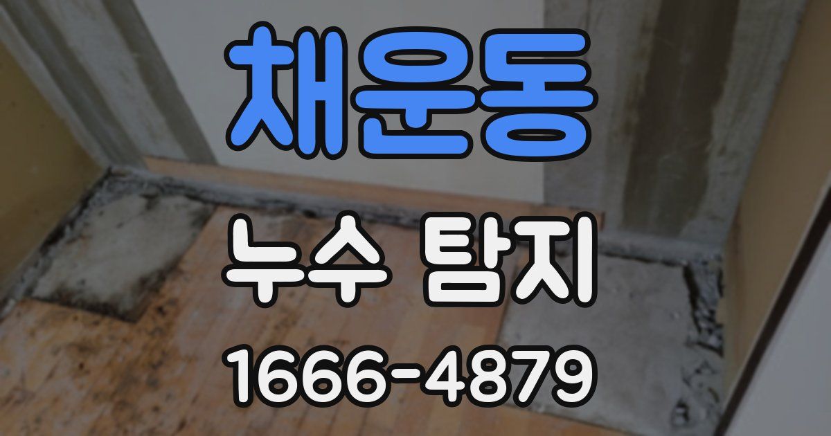 채운동 누수 탐지