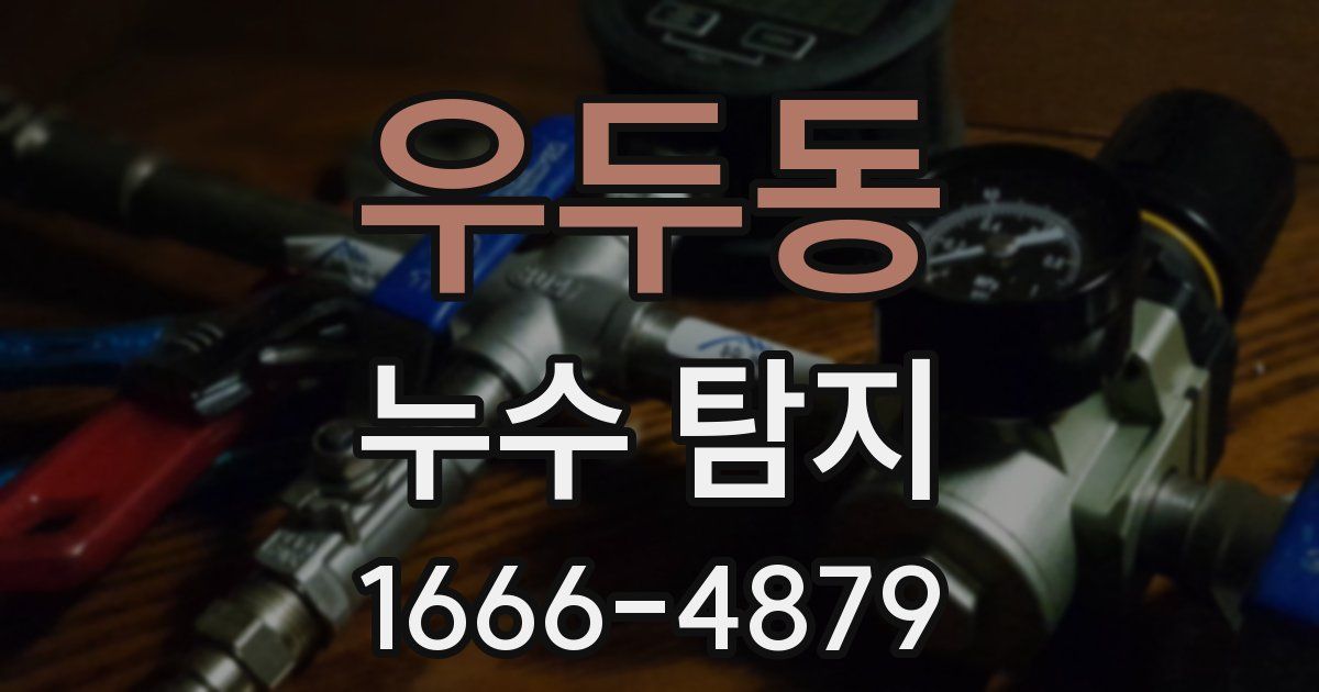 우두동 누수 탐지