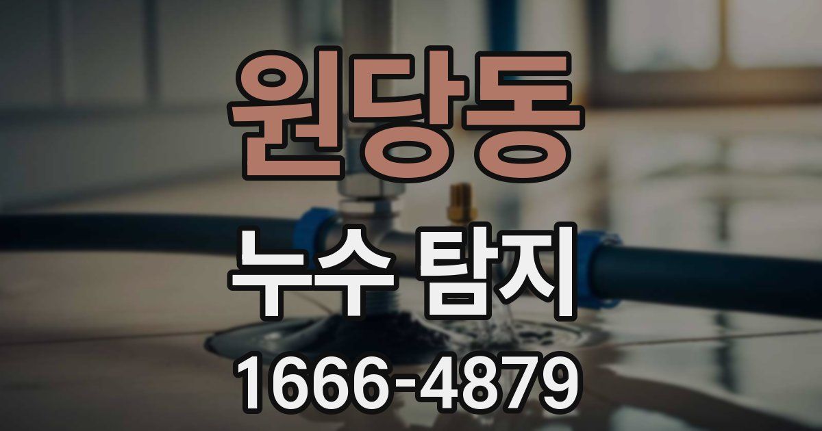 원당동 누수 탐지