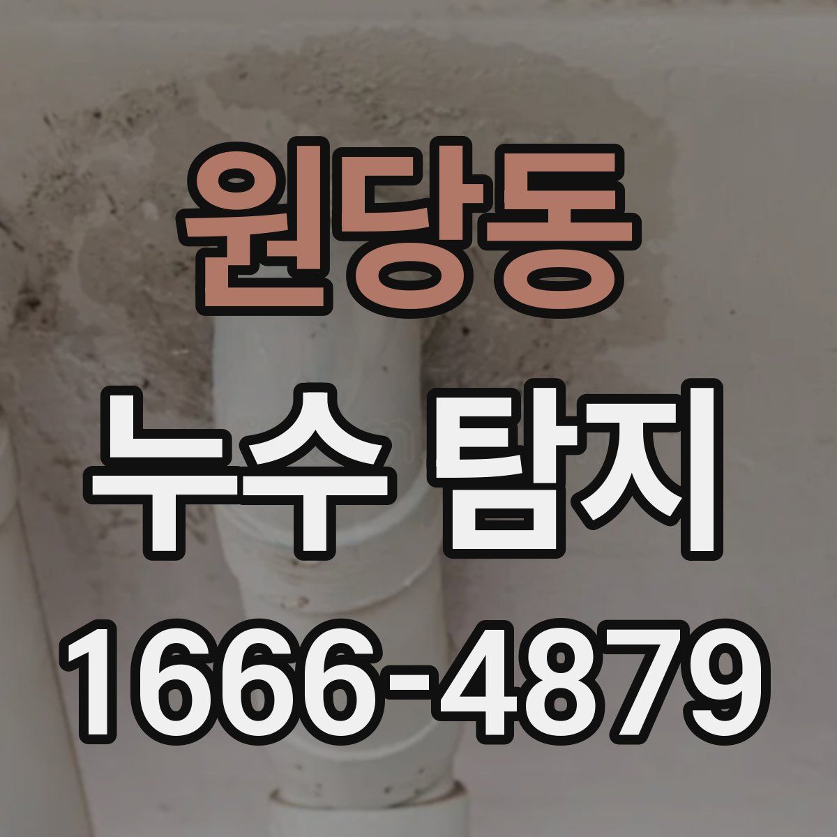 원당동 누수 탐지