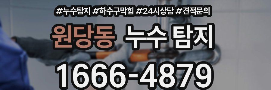원당동 누수 탐지