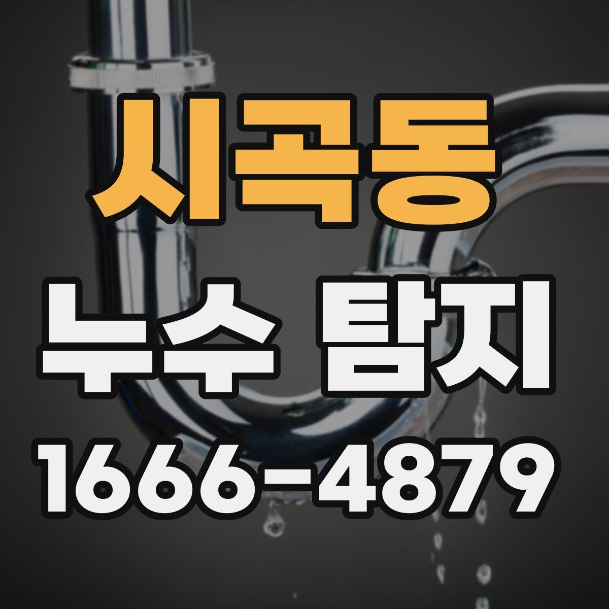 시곡동 누수 탐지