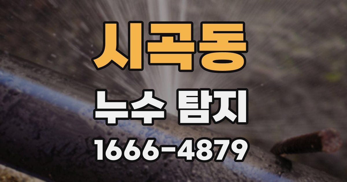 시곡동 누수 탐지