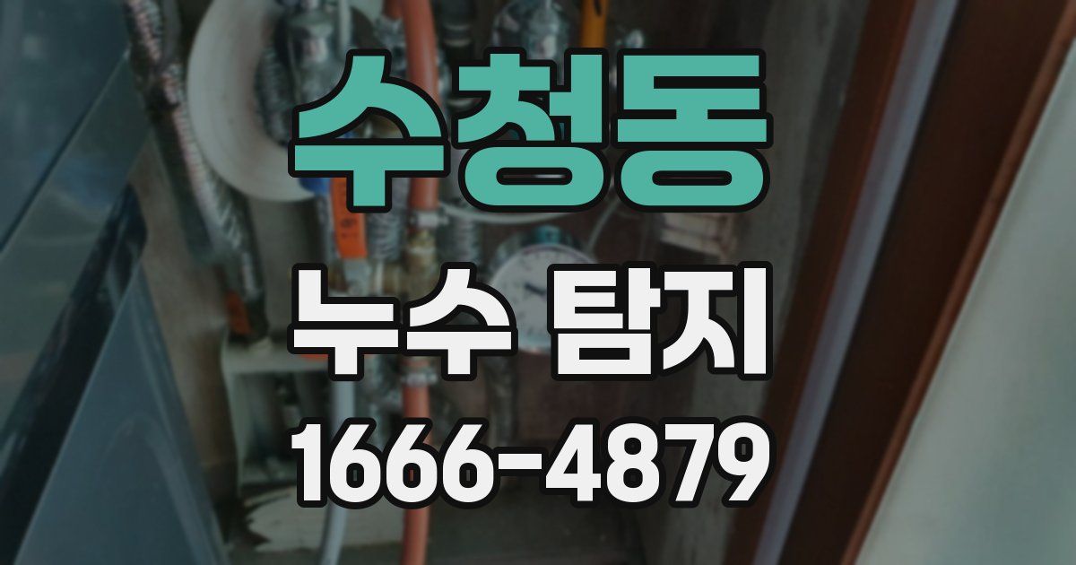 수청동 누수 탐지