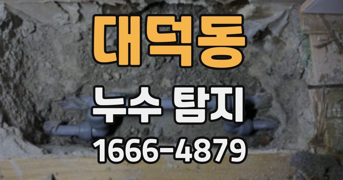 대덕동 누수 탐지