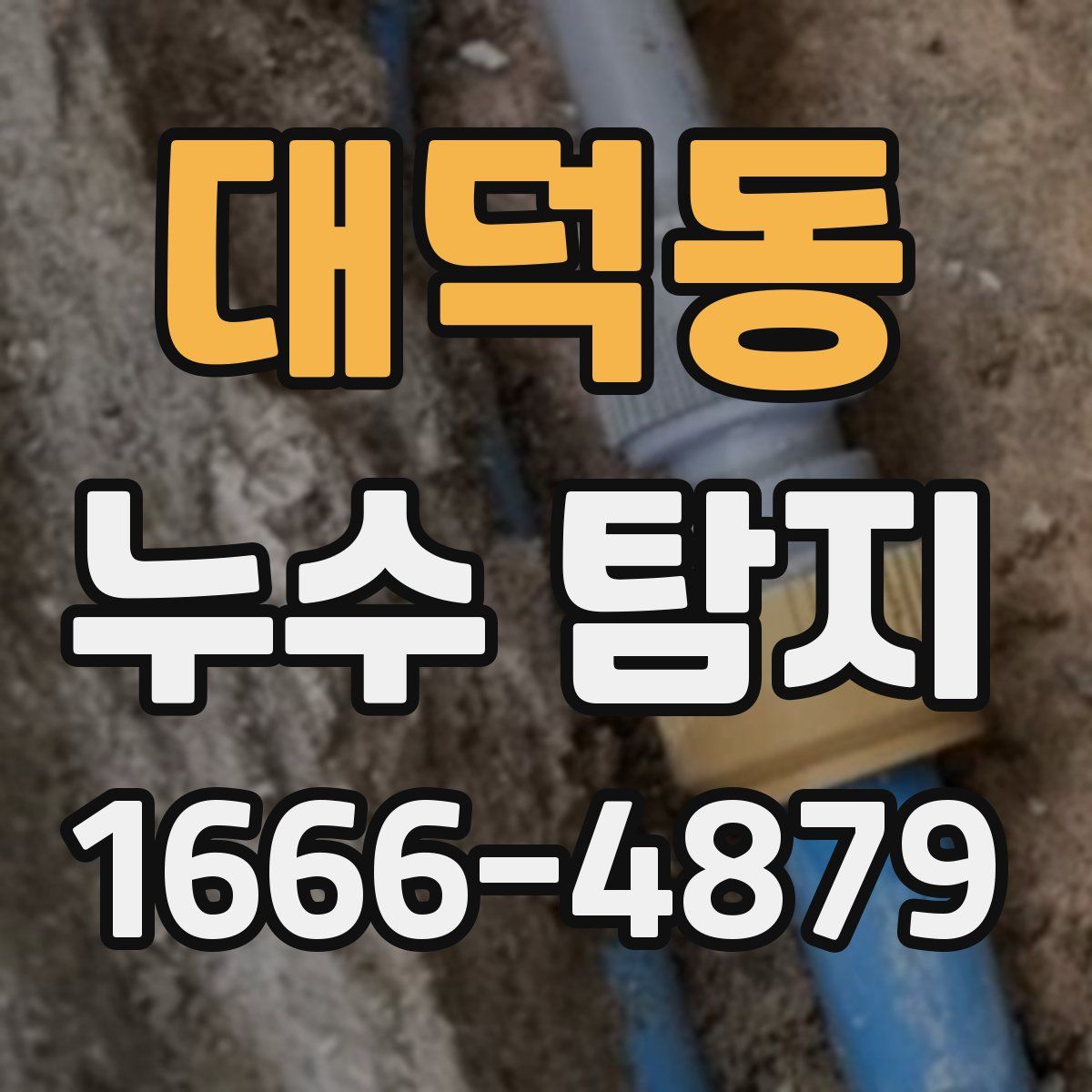 대덕동 누수 탐지