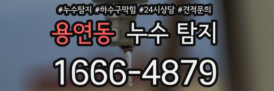 용연동 누수 탐지