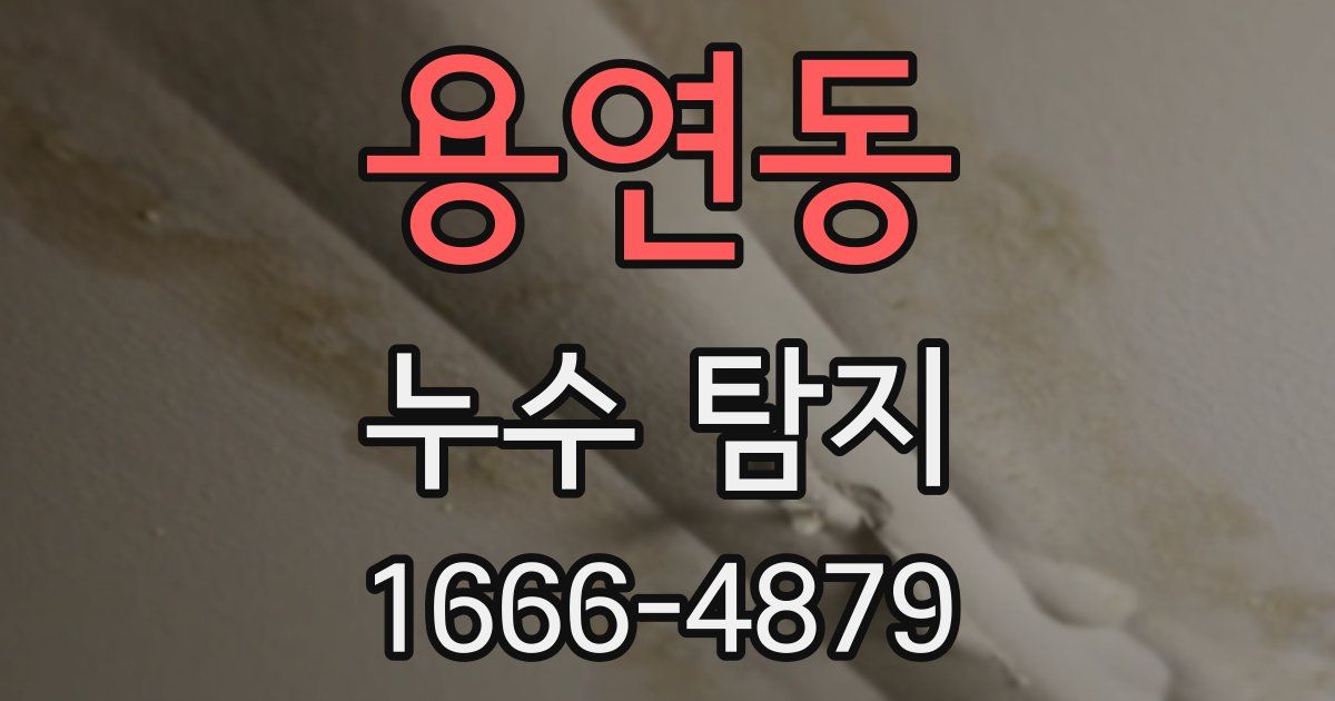 용연동 누수 탐지