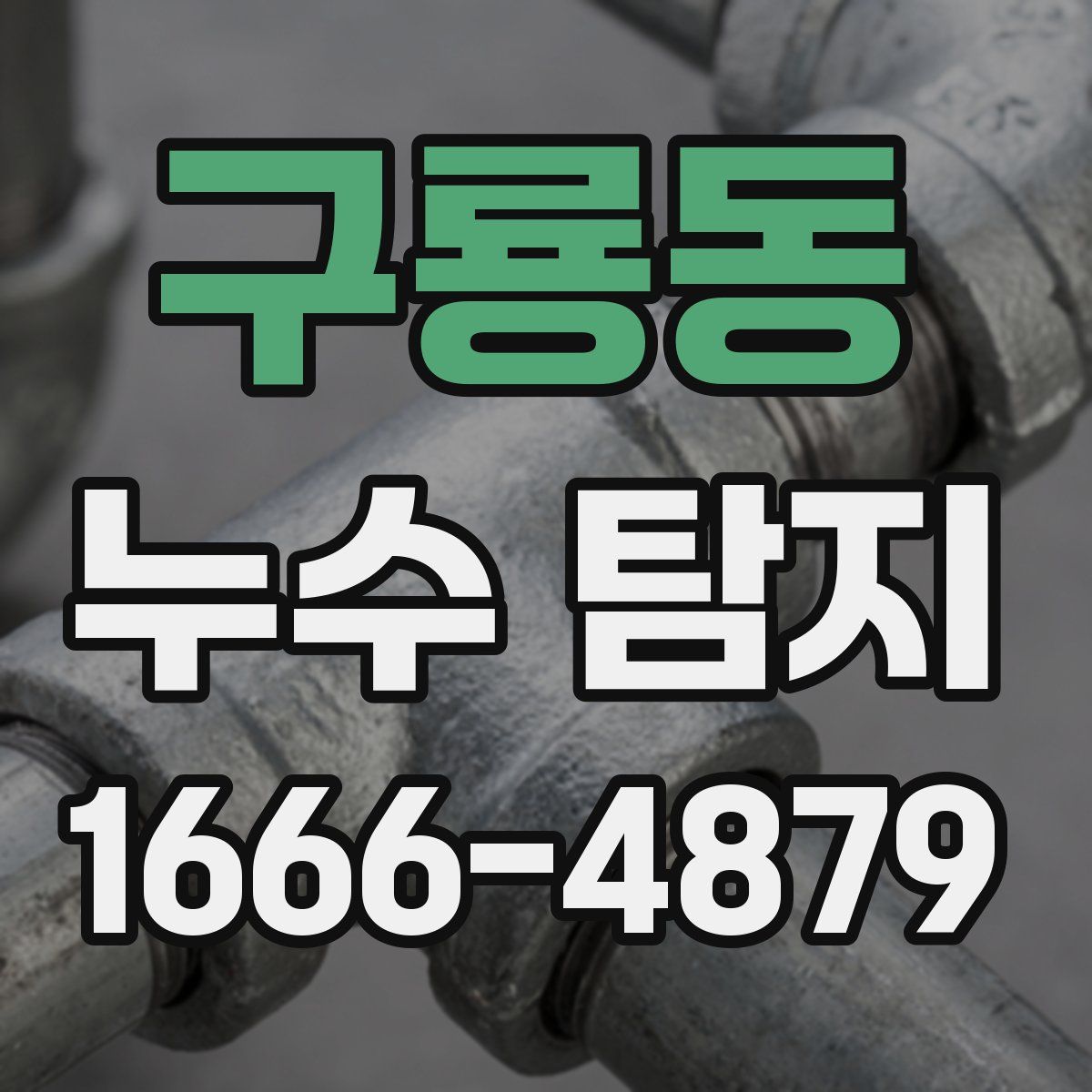 구룡동 누수 탐지