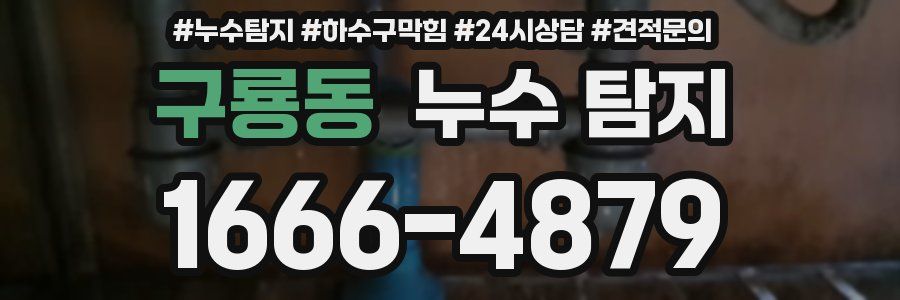 구룡동 누수 탐지
