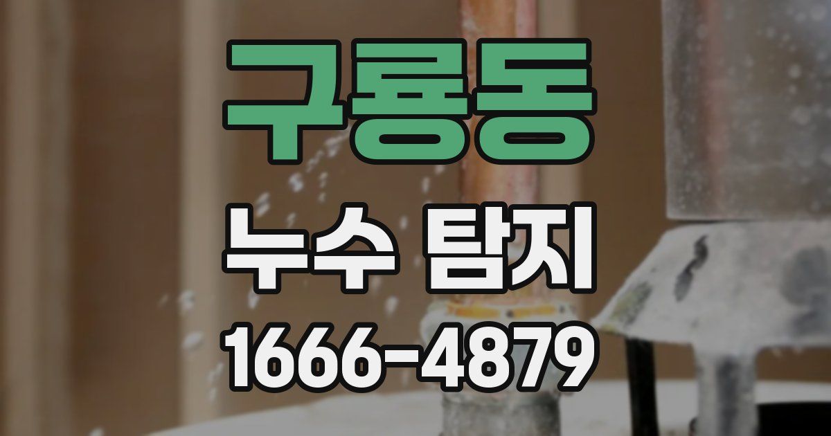 구룡동 누수 탐지