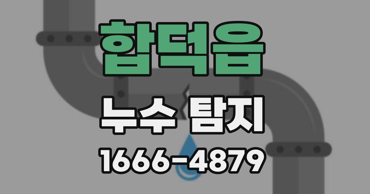 합덕읍 누수 탐지
