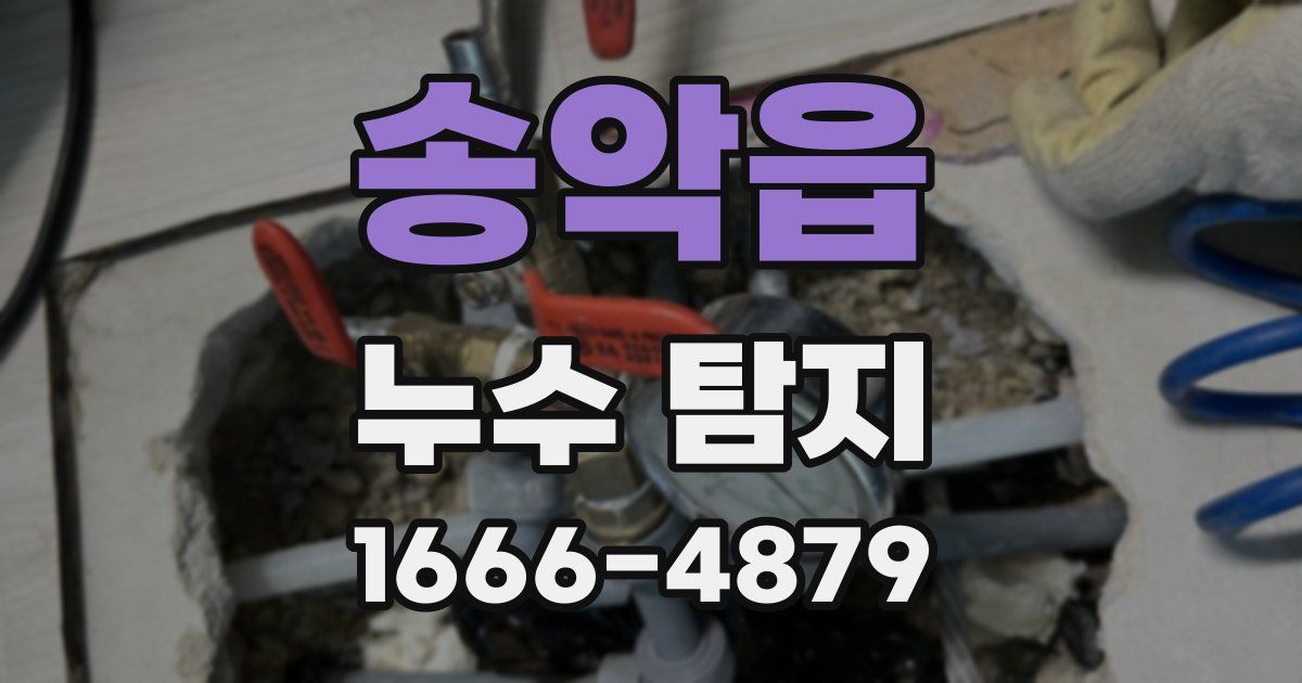 송악읍 누수 탐지