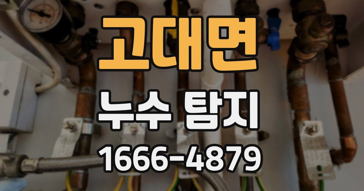고대면 누수 탐지