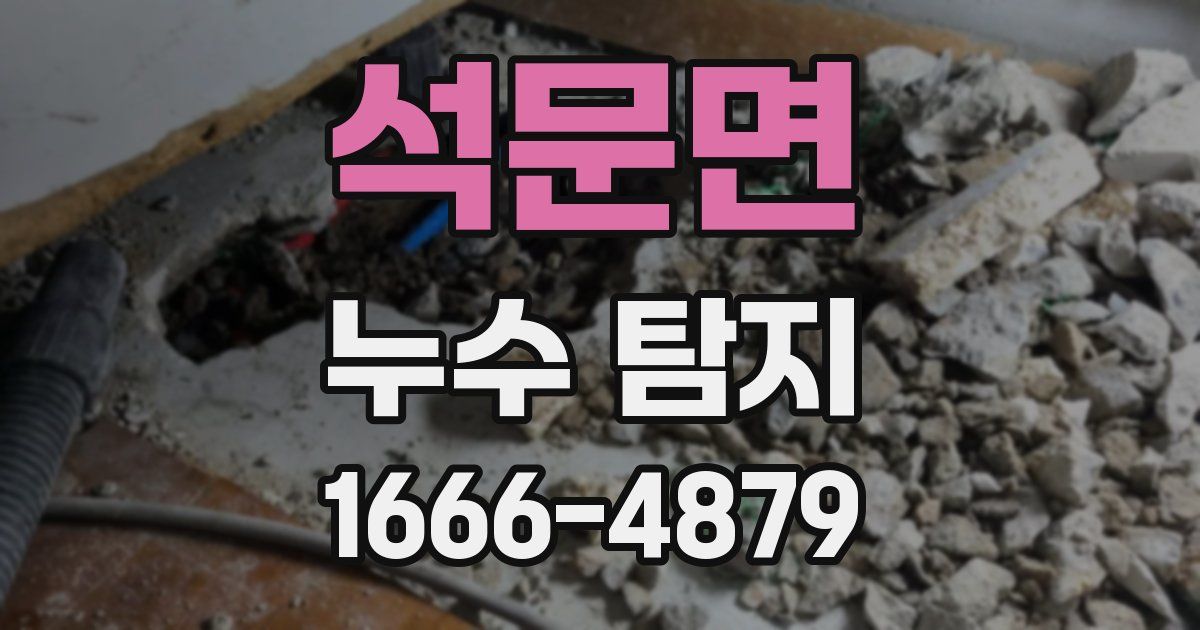 석문면 누수 탐지
