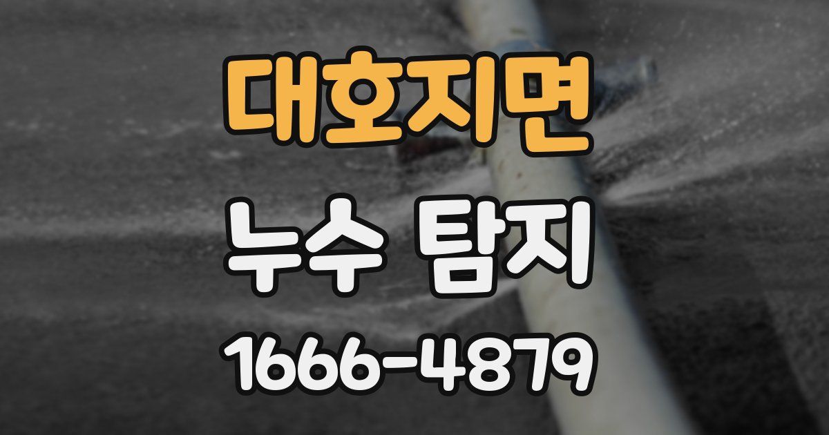 대호지면 누수 탐지