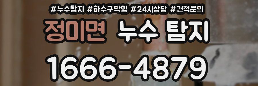 정미면 누수 탐지