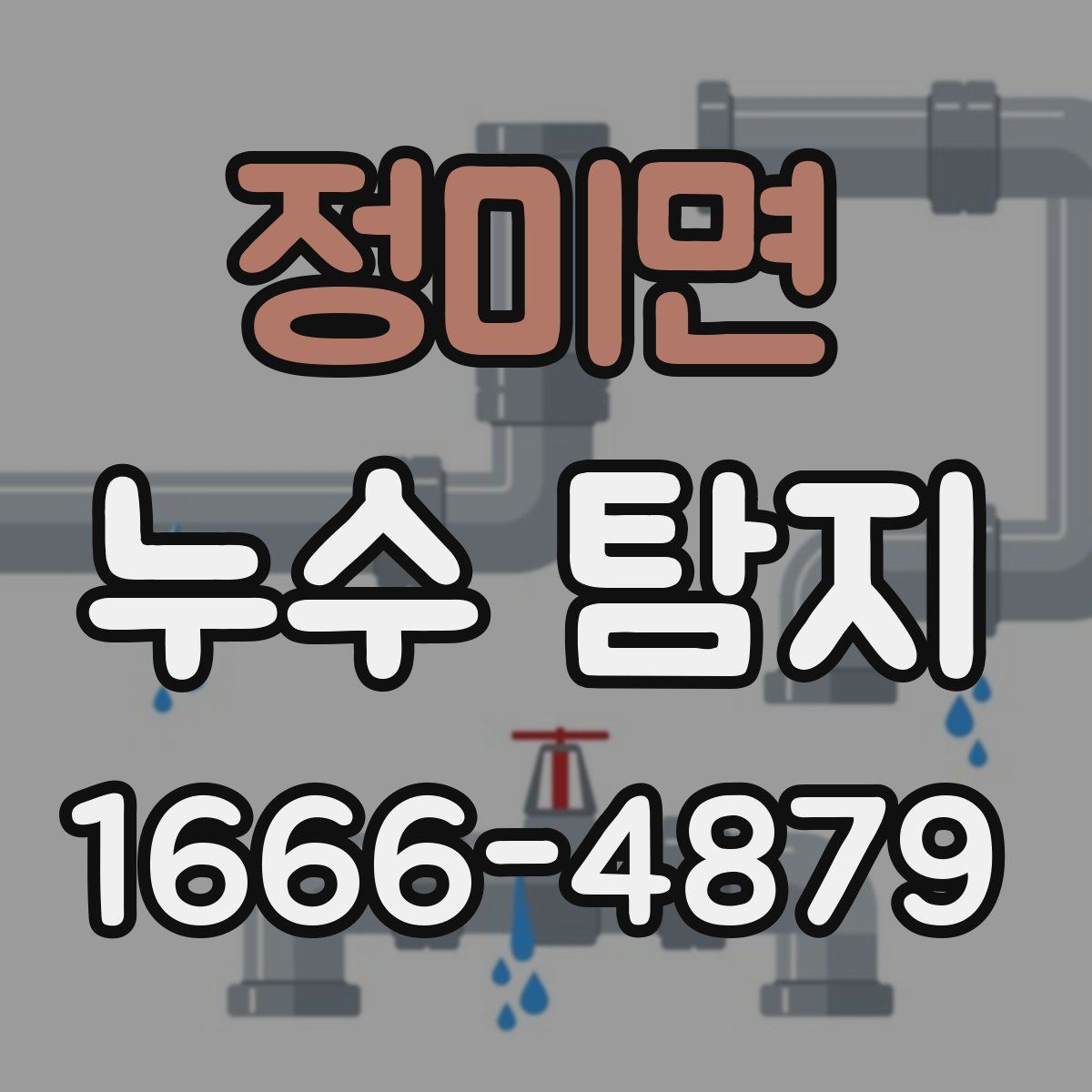 정미면 누수 탐지