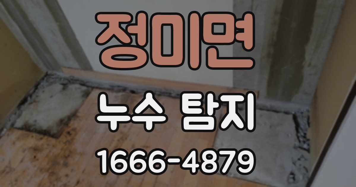 정미면 누수 탐지