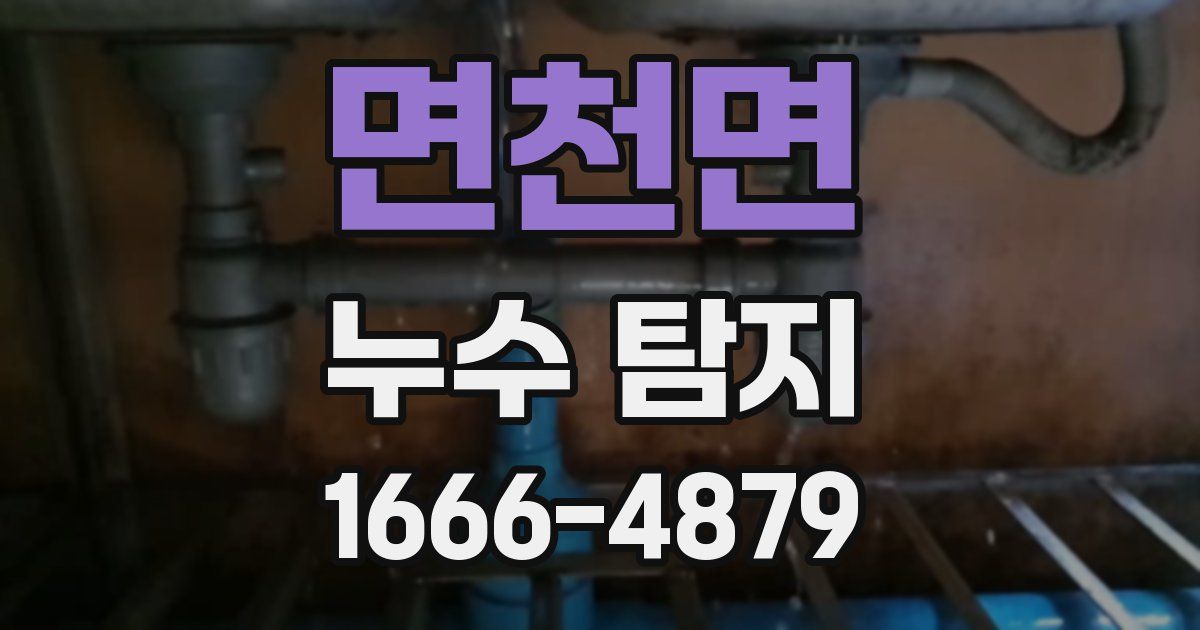 면천면 누수 탐지