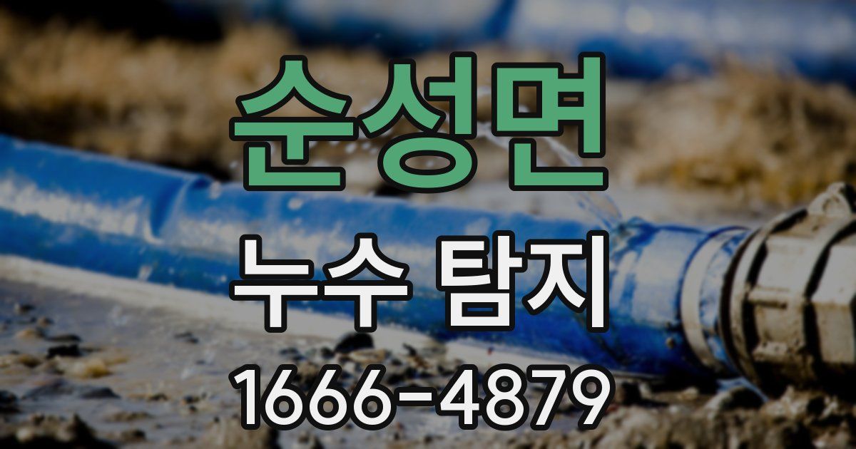 순성면 누수 탐지