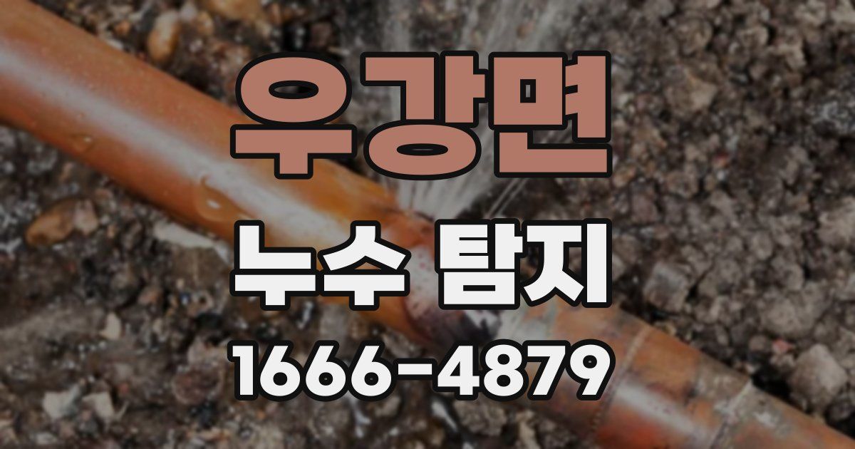 우강면 누수 탐지