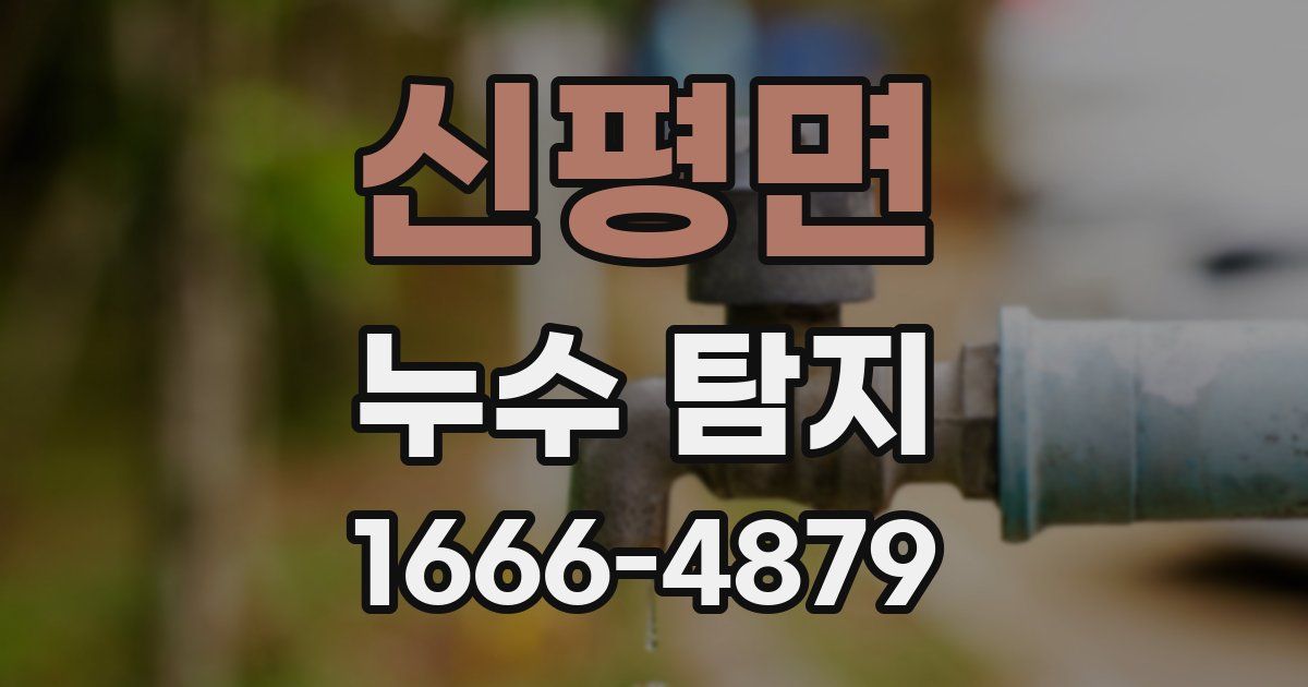 신평면 누수 탐지