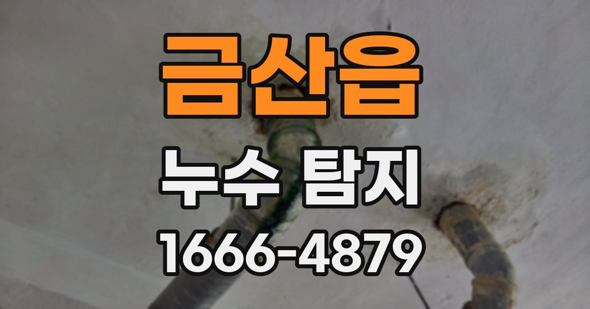 금산읍 누수 탐지