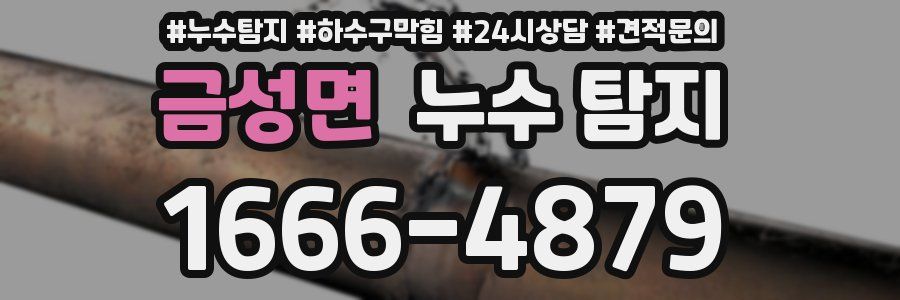 금성면 누수 탐지