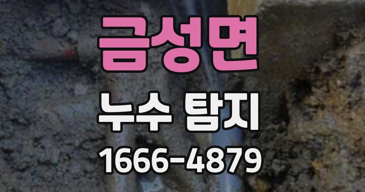 금성면 누수 탐지
