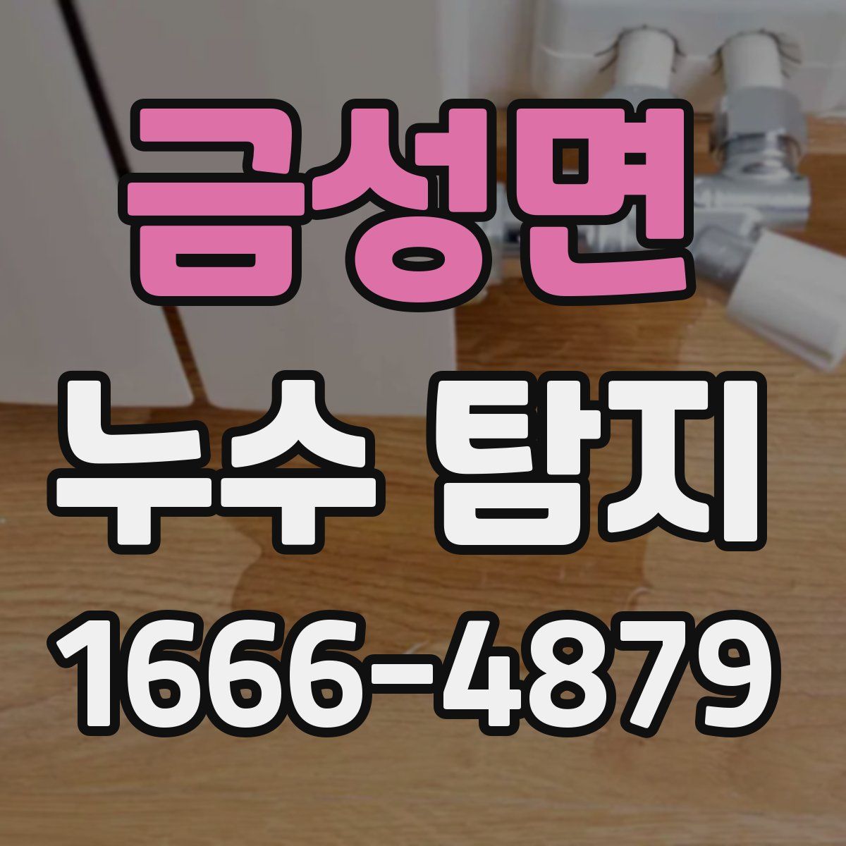 금성면 누수 탐지