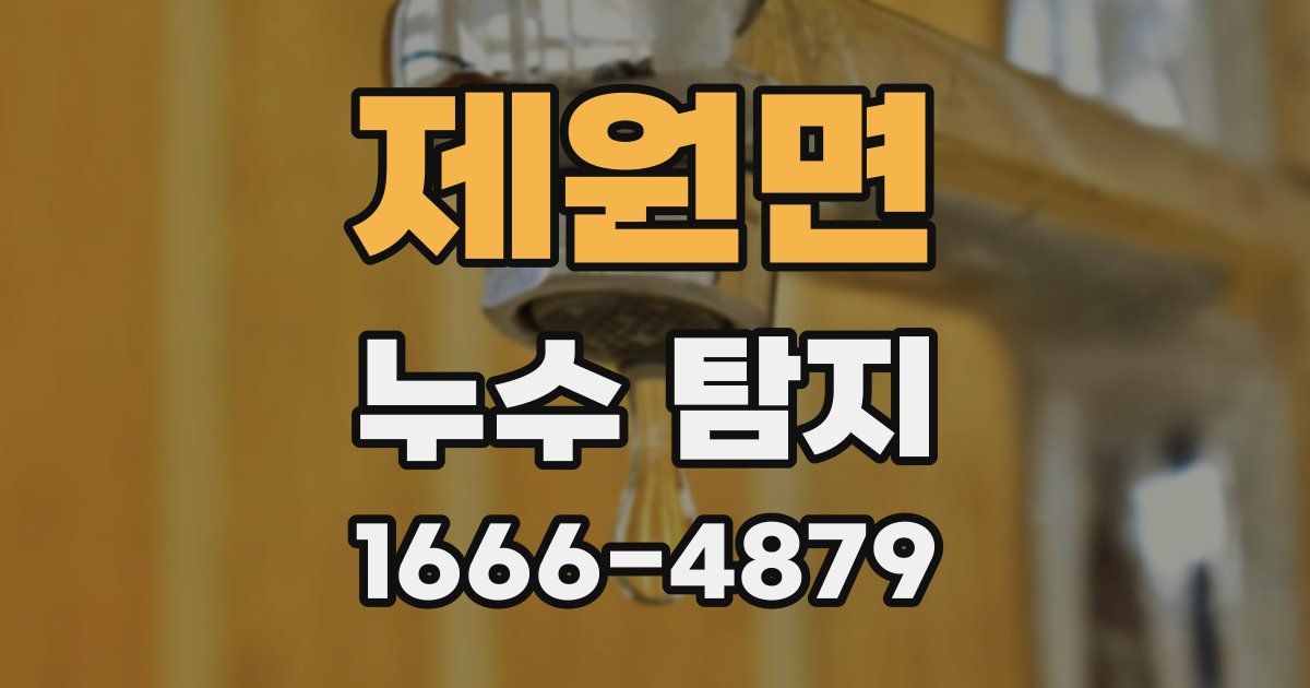 제원면 누수 탐지